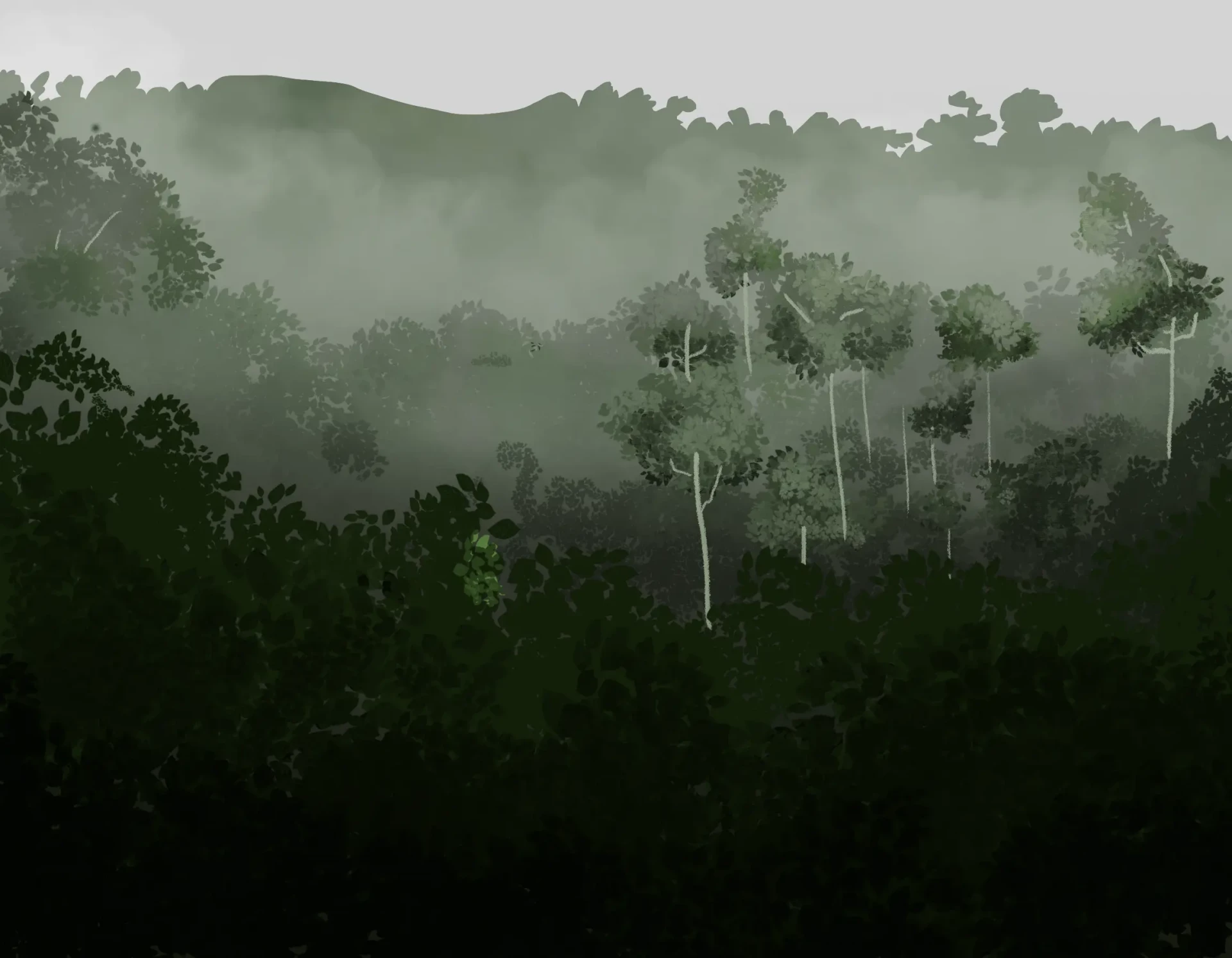 dessiner les détails de la jungle