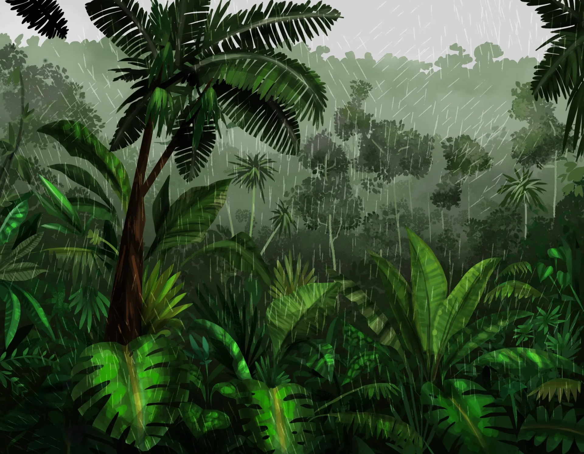 dessin de la jungle