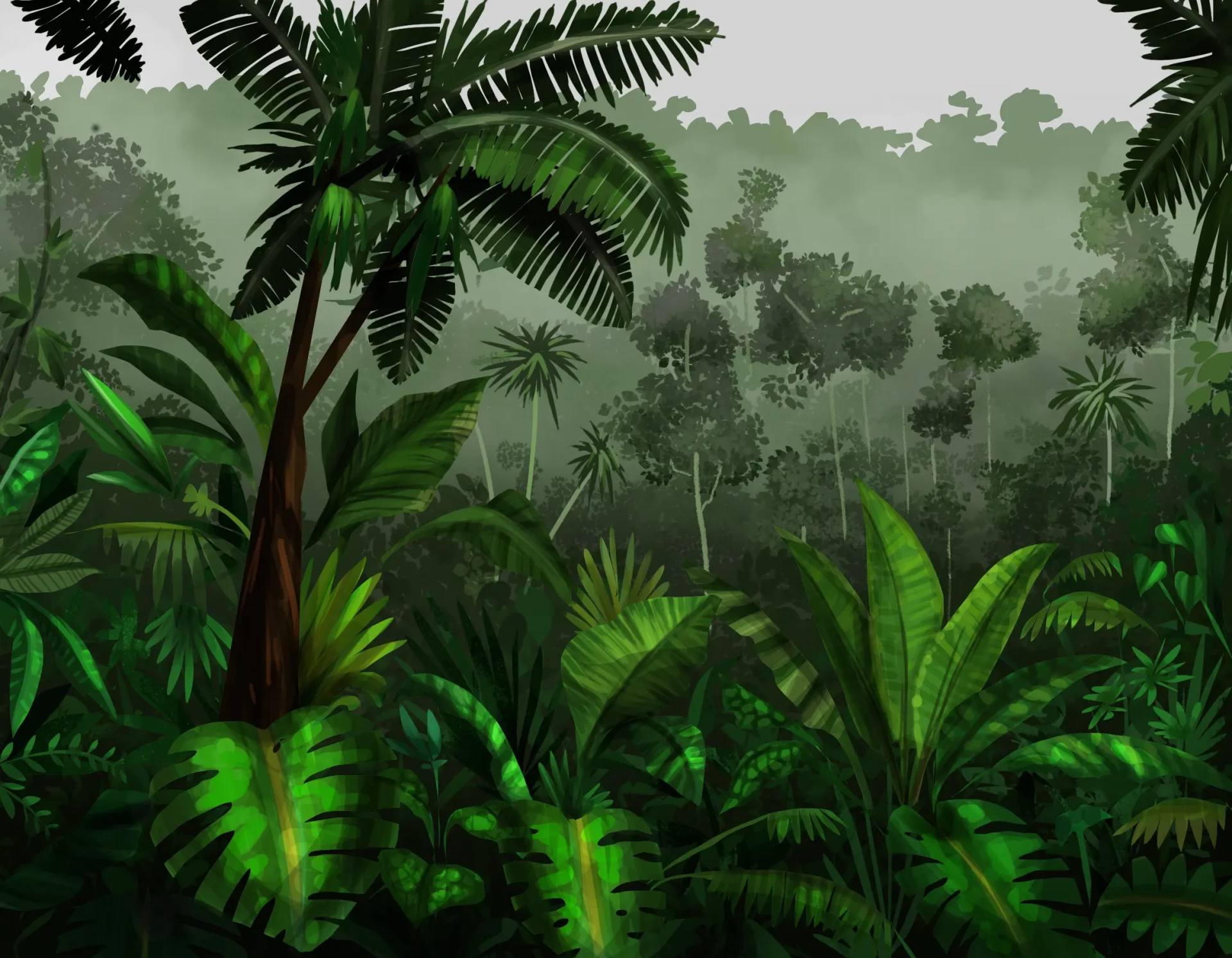 dessiner la lumière de la jungle