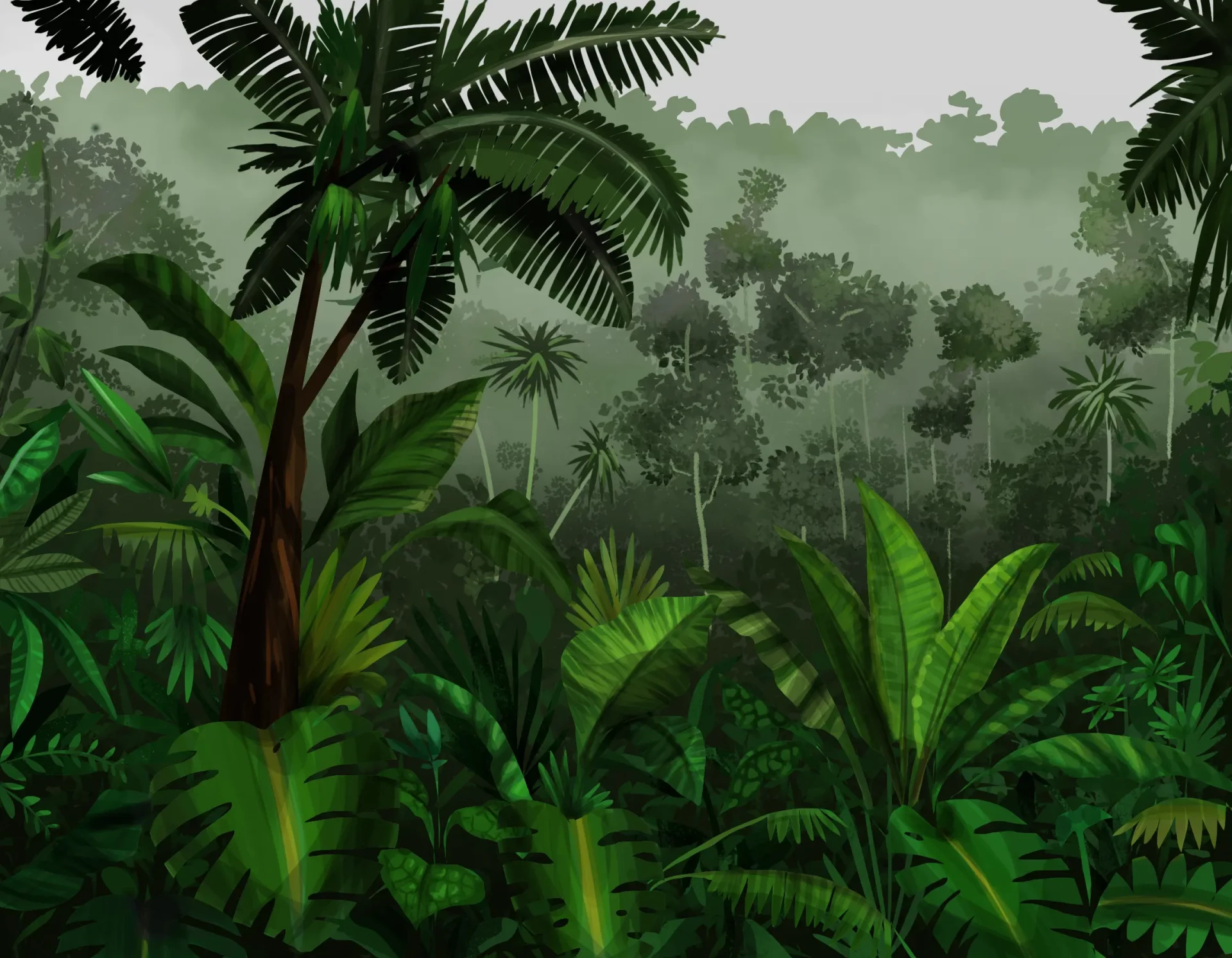 dessiner les ombres de la jungle