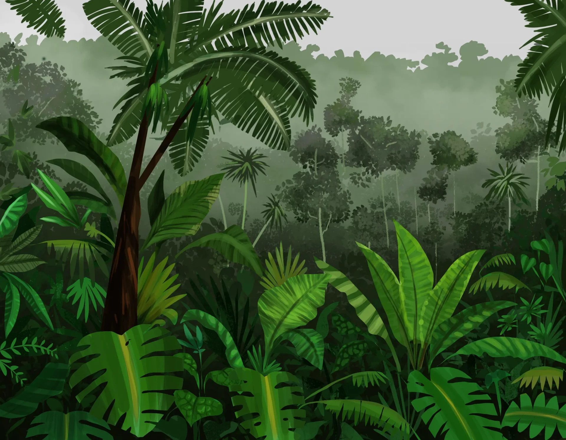 dessiner les plantes du premier plan de la jungle