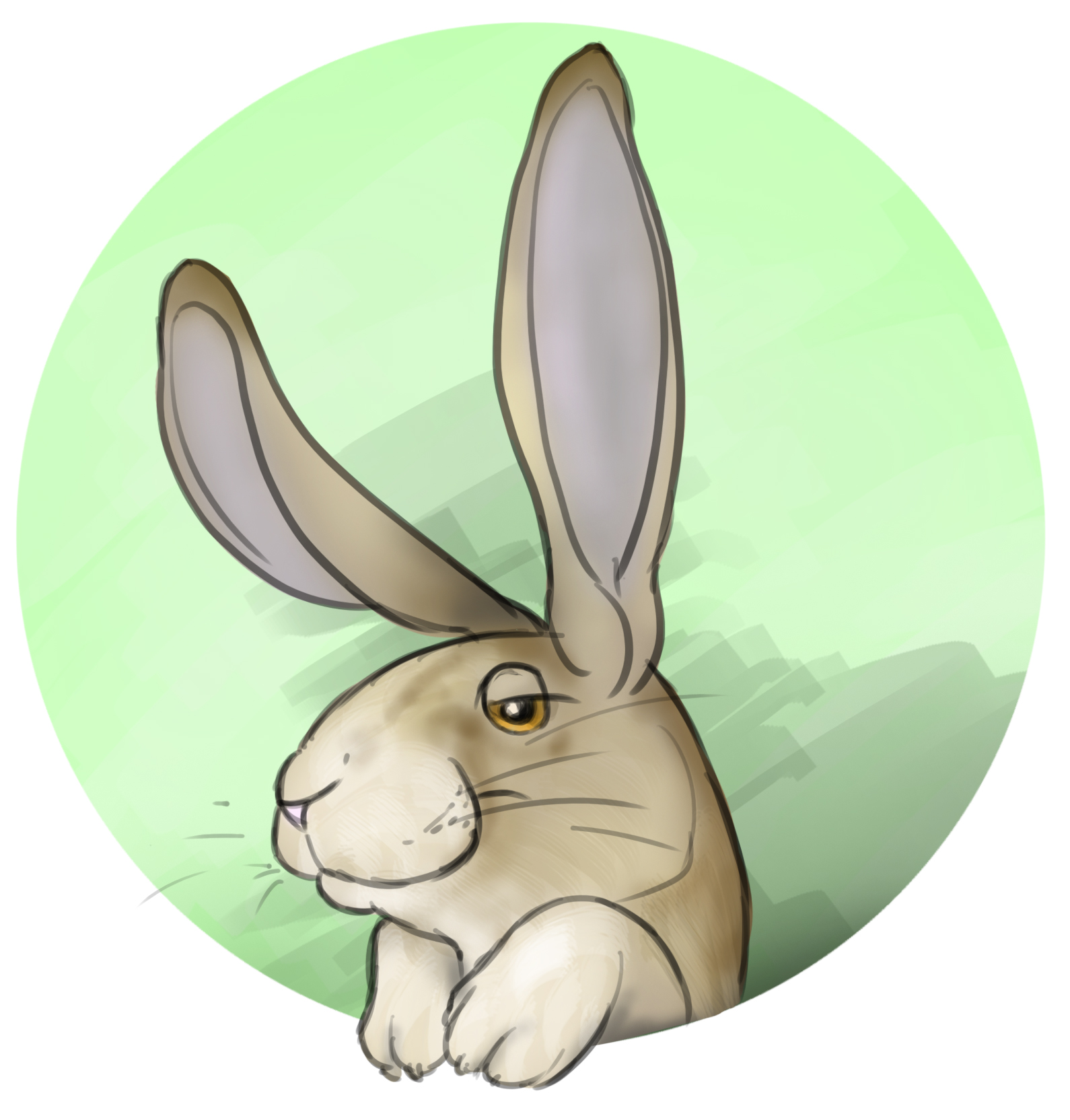 Dessin de lapin