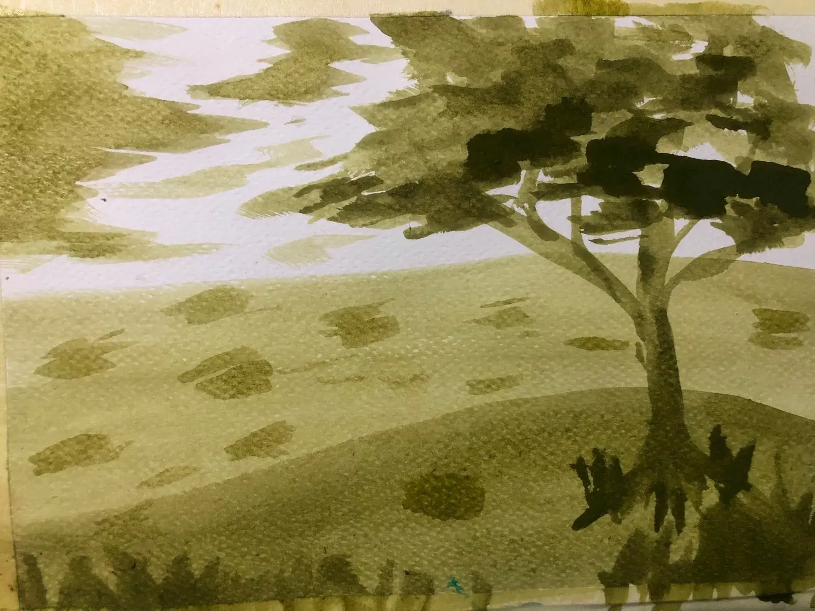 La técnica del lavado en acuarela: ¿cuándo y cómo usarla?