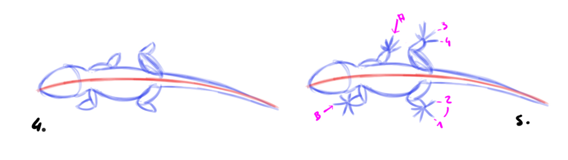 dessiner un lézard étape 2