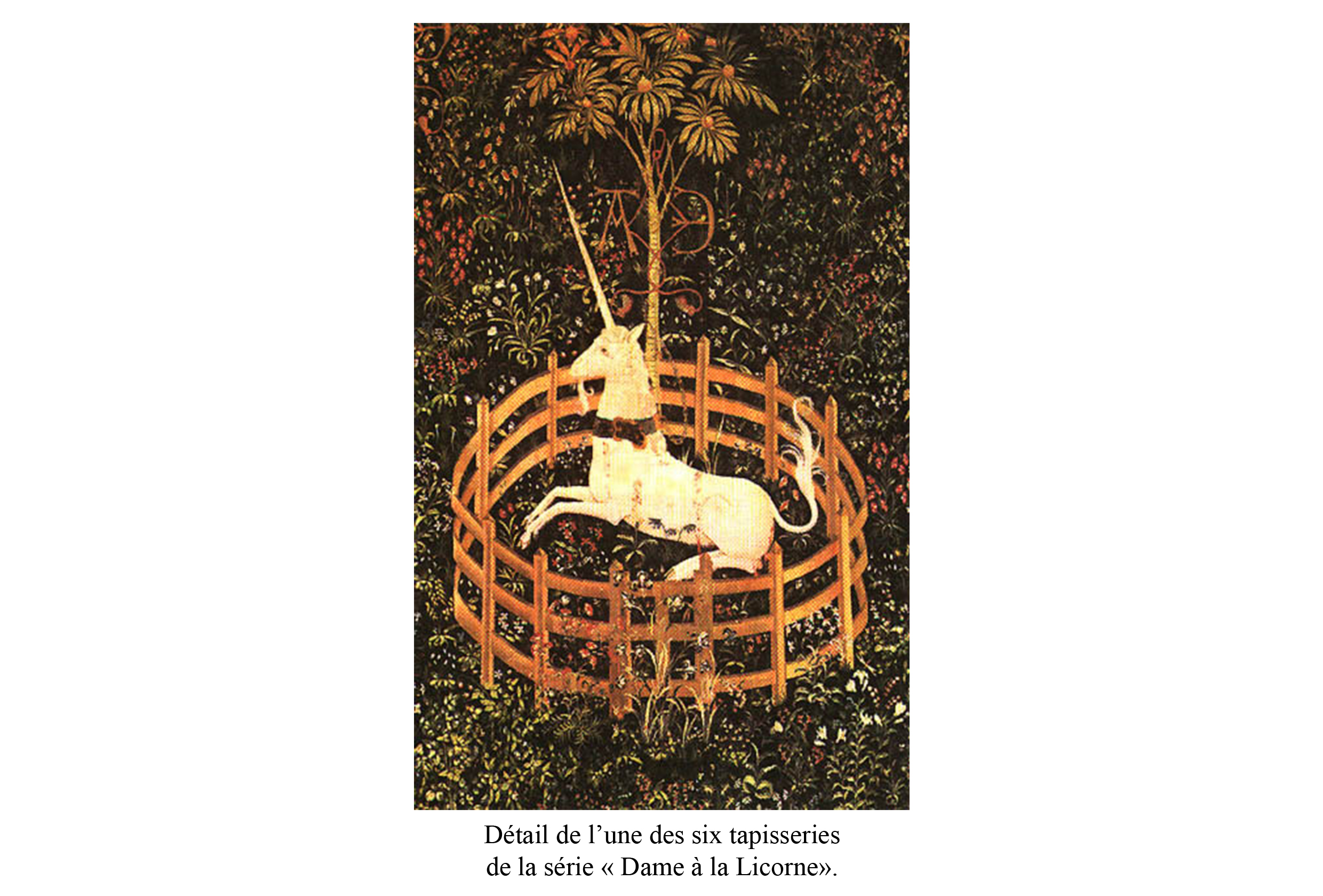 tapisserie de licorne