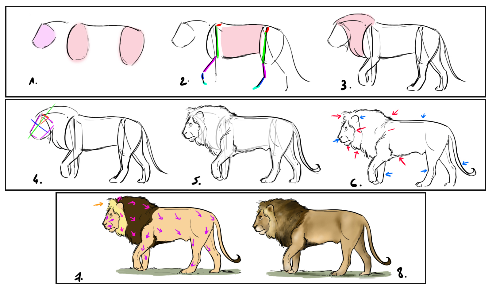 Le dessin du lion étape par étape