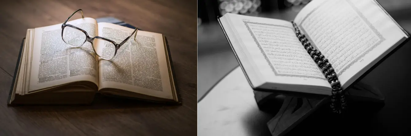 quelques exemples de livres pour nous aider dans notre composition