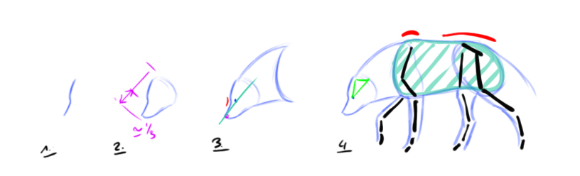 dessiner un loup étape 1