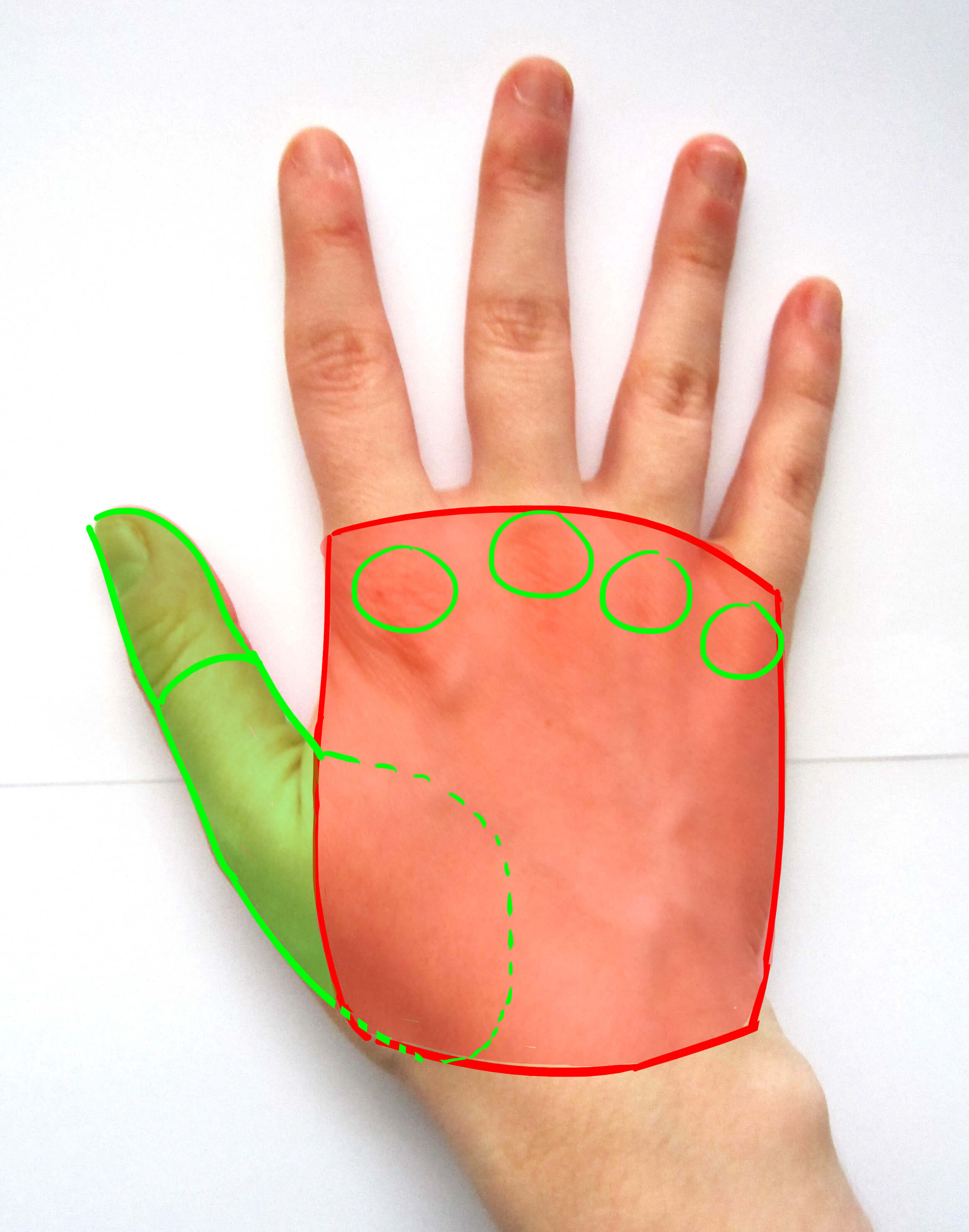 Pouce de la main de dos