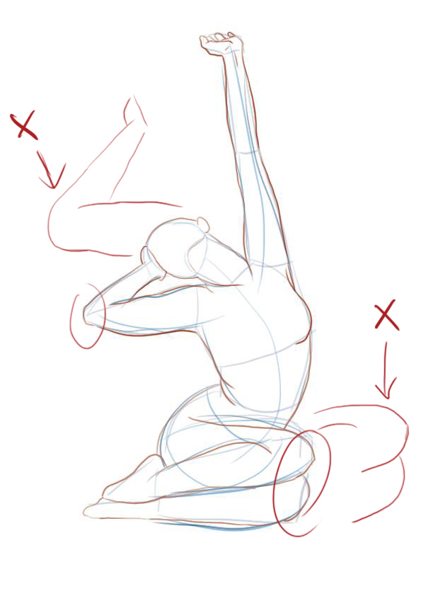 dessiner correctement les articulations du modèle