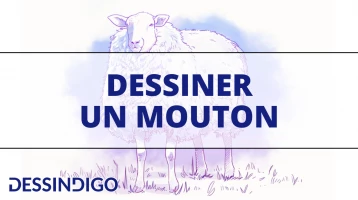 Dessiner un mouton