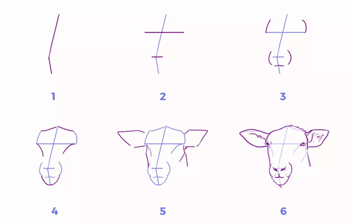 dessin du visage d’un mouton