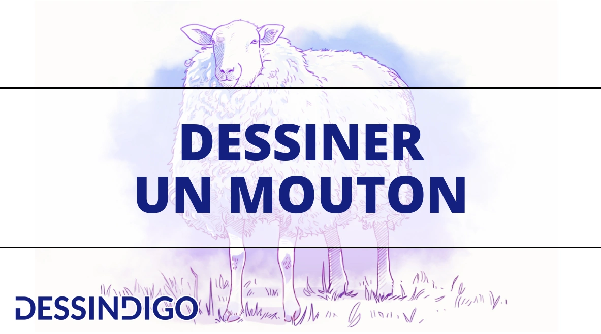 Dessiner un mouton