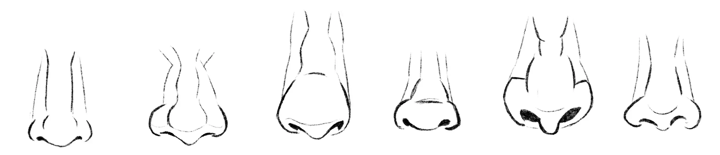 dessiner différents nez de face