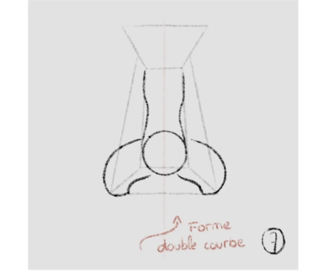 dessiner les narines d’un nez de face
