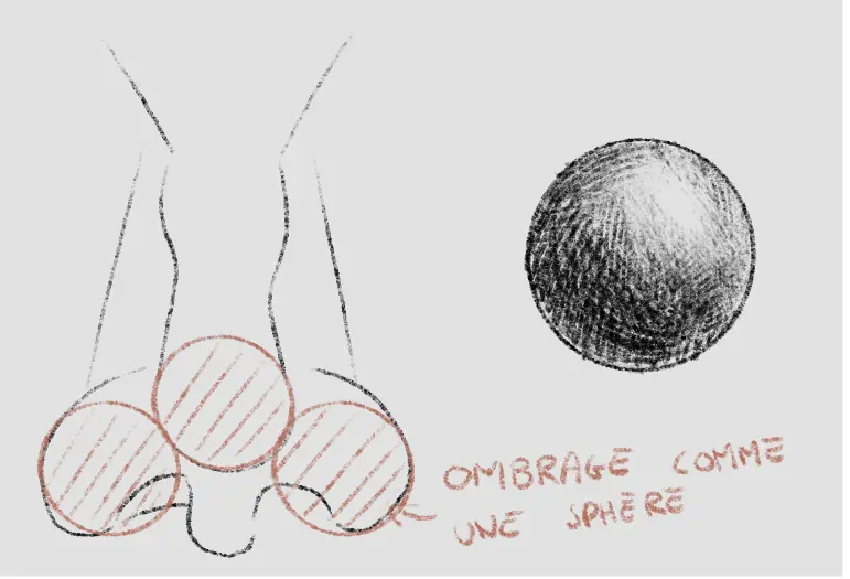 dessiner l’ombrage d’un nez de face
