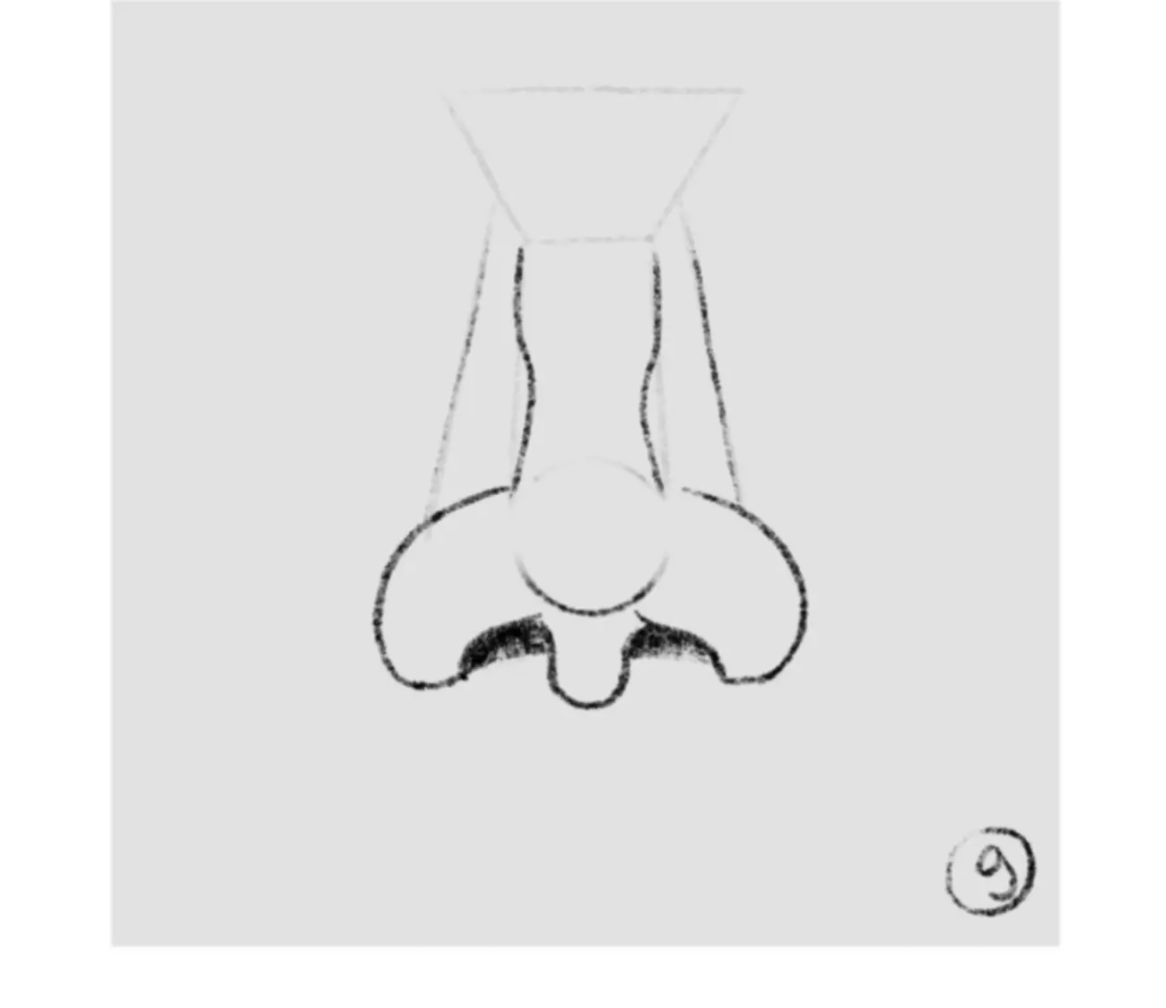 dessiner les ombres d'un nez de face