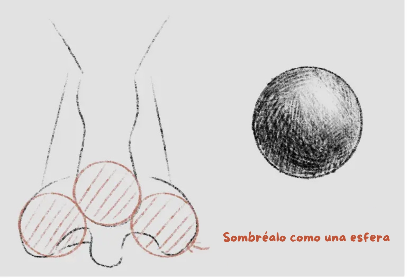 dibujar la sombra de una nariz de frente