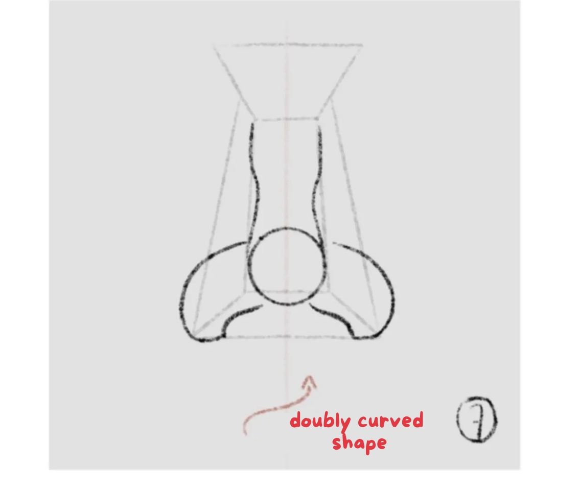 drawing the nostrils of a nose from the front