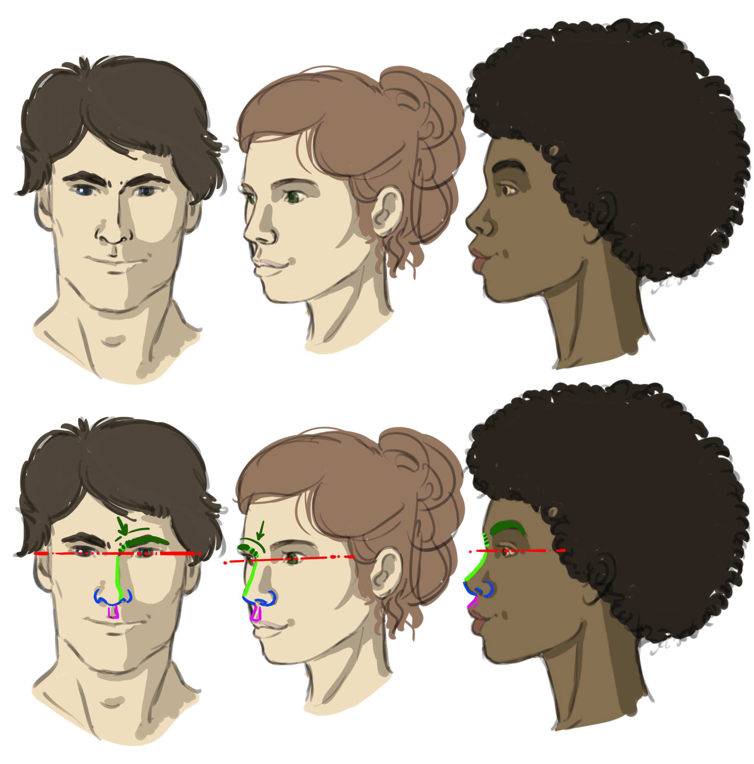 drawings of the nose from front, 3/4 and profile