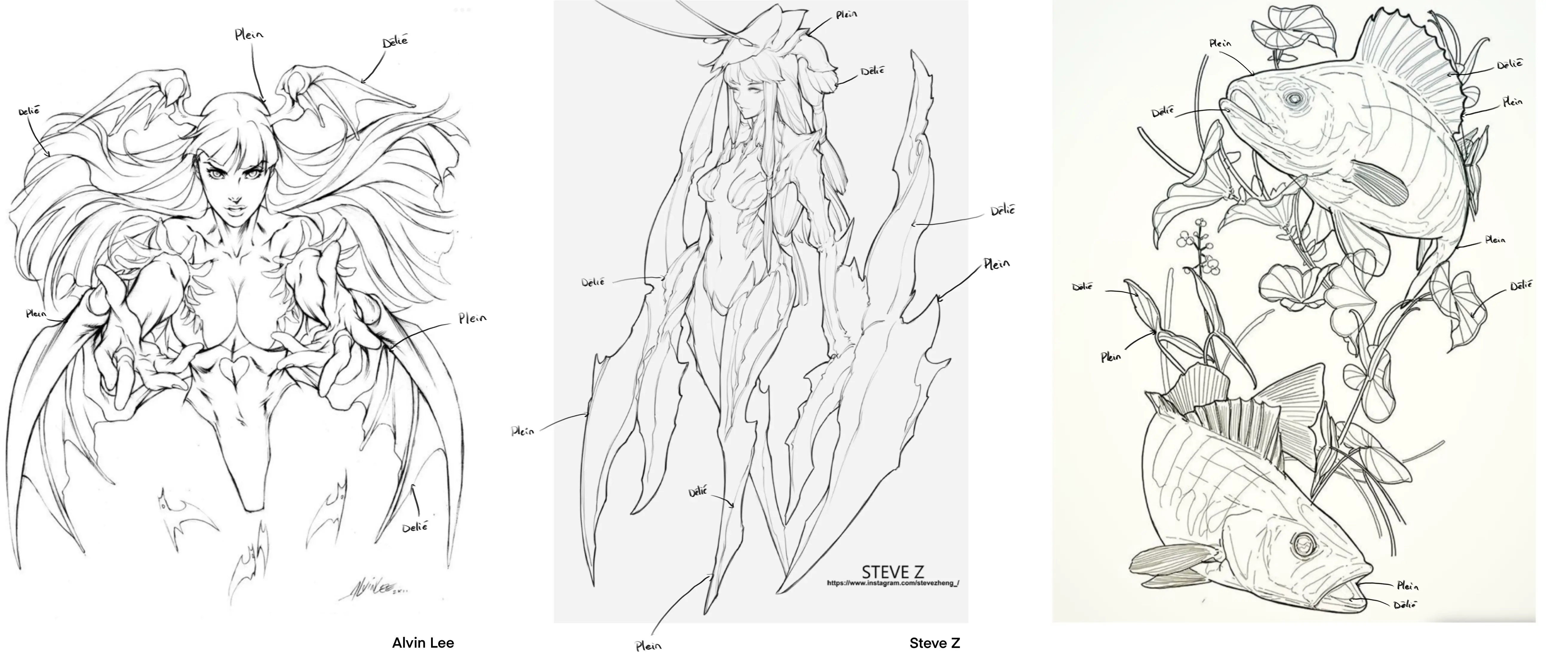 exemples de pleins et déliés pour le dessin en noir et blanc