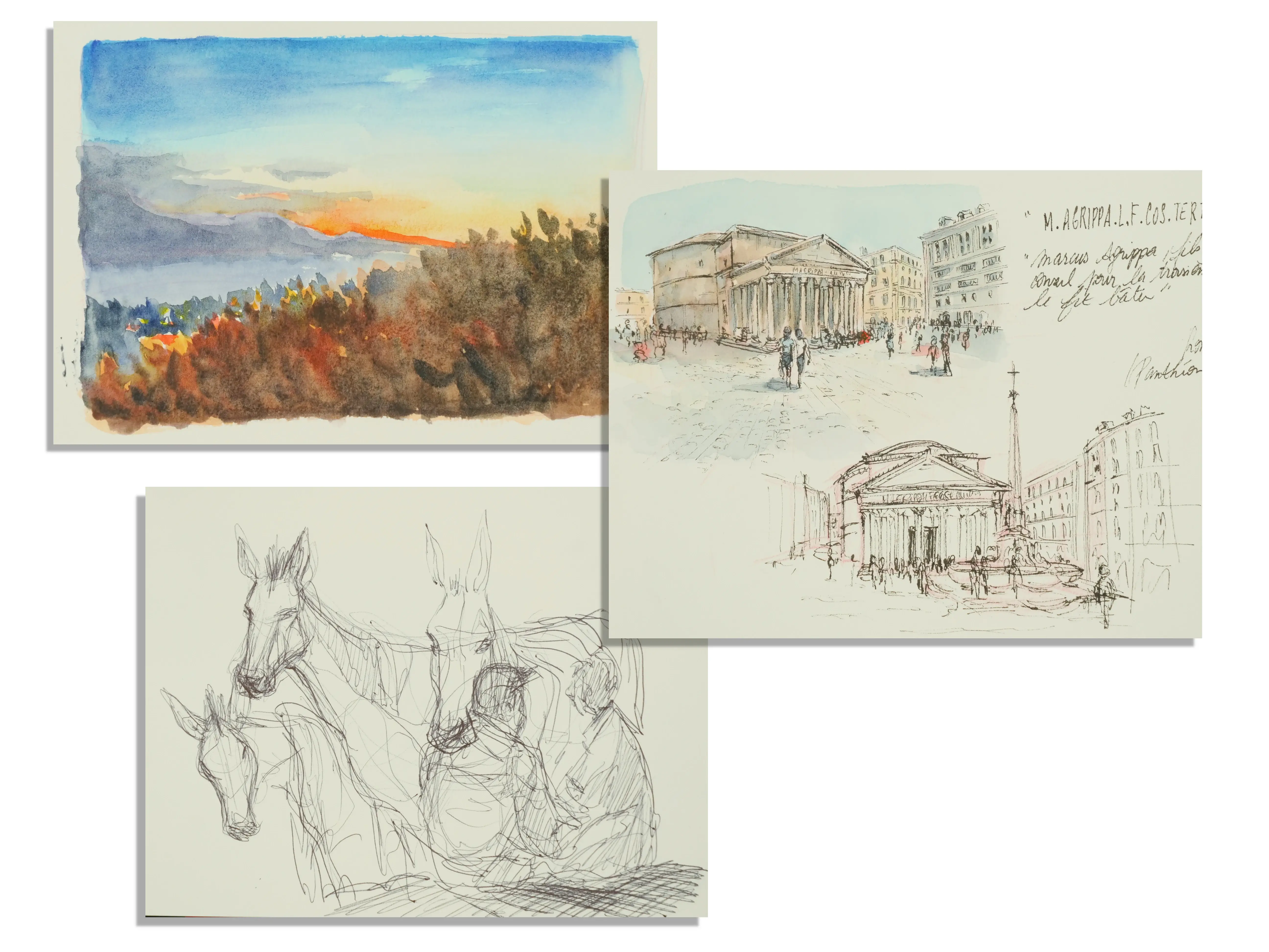 Exemple d'illustrations de la formation paysage