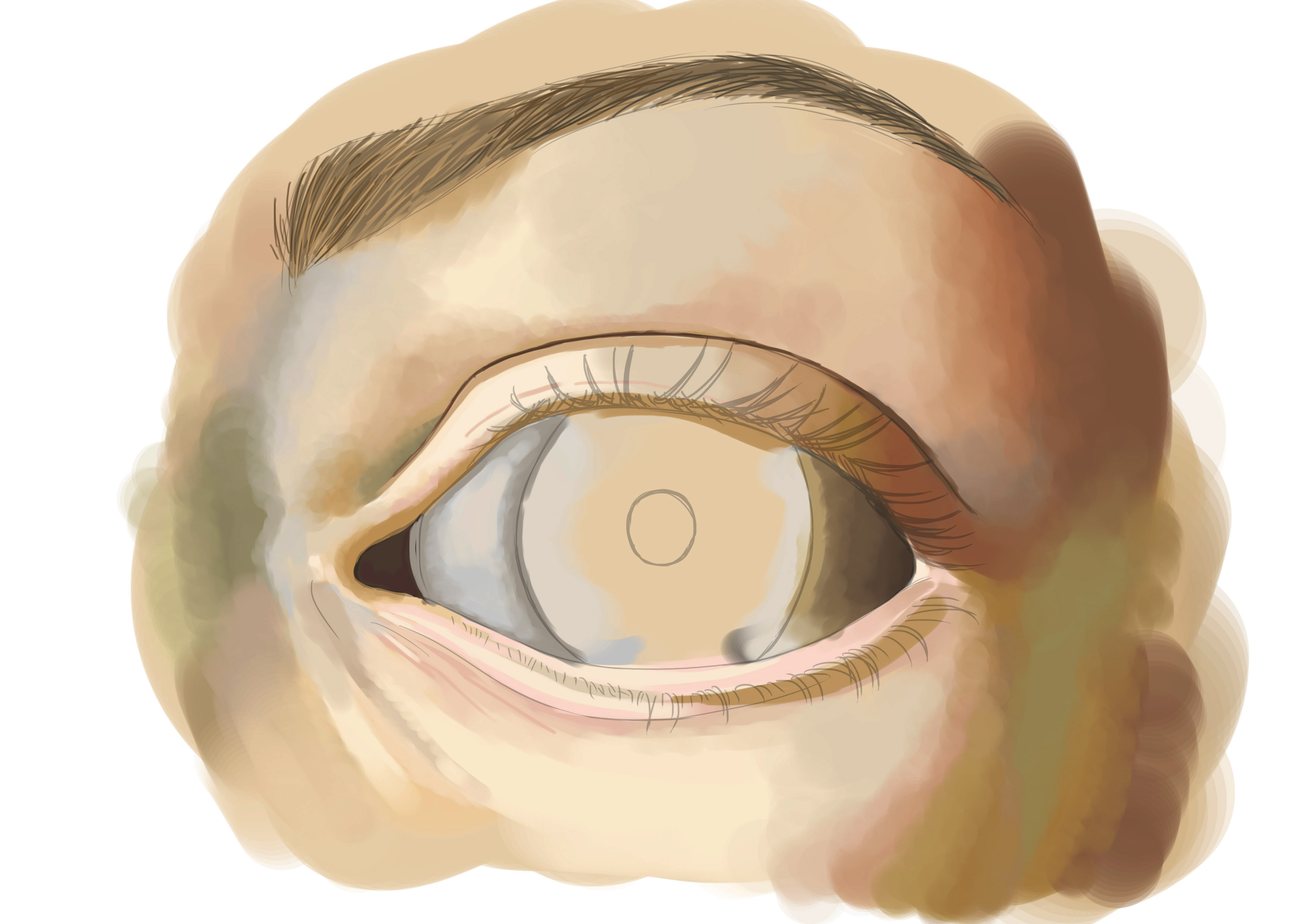 Continuer la mise en couleur de l'oeil