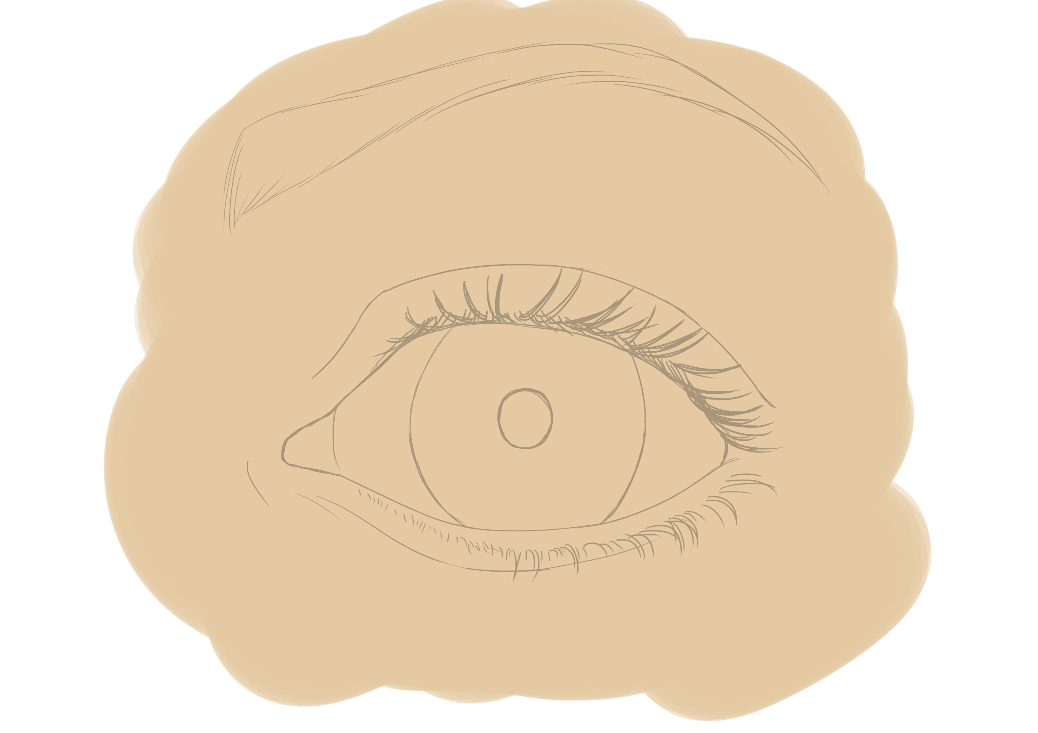 Appliquer la teinte de base au dessin