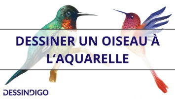Dessiner un oiseau à l’aquarelle