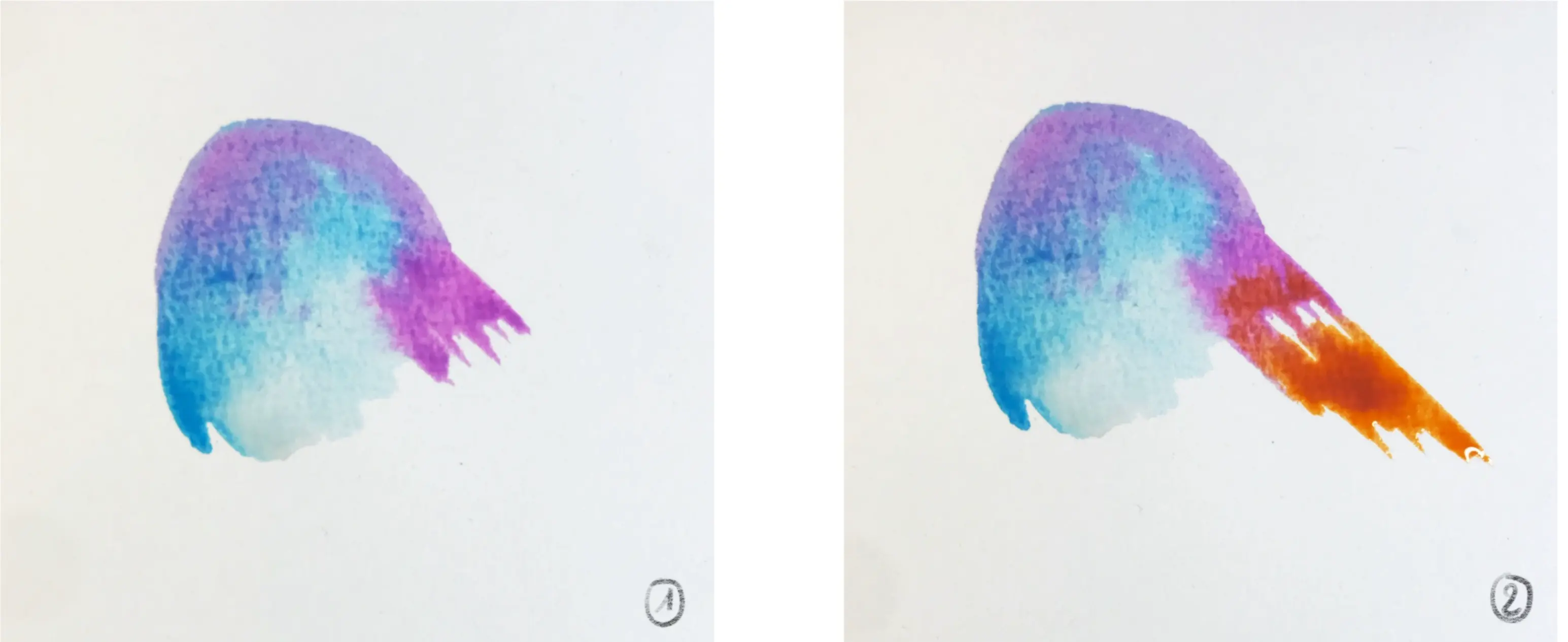 dessiner la base d’un oiseau stylisé à l’aquarelle