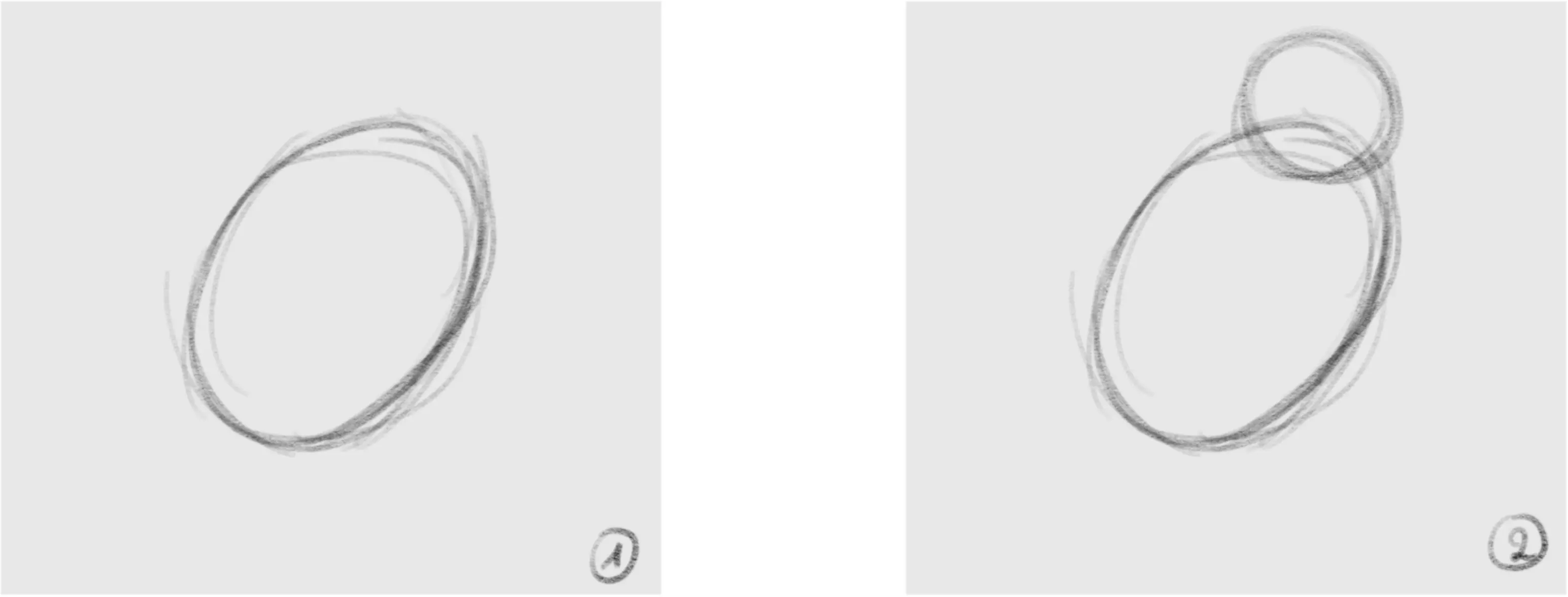 dessiner la base d’un oiseau