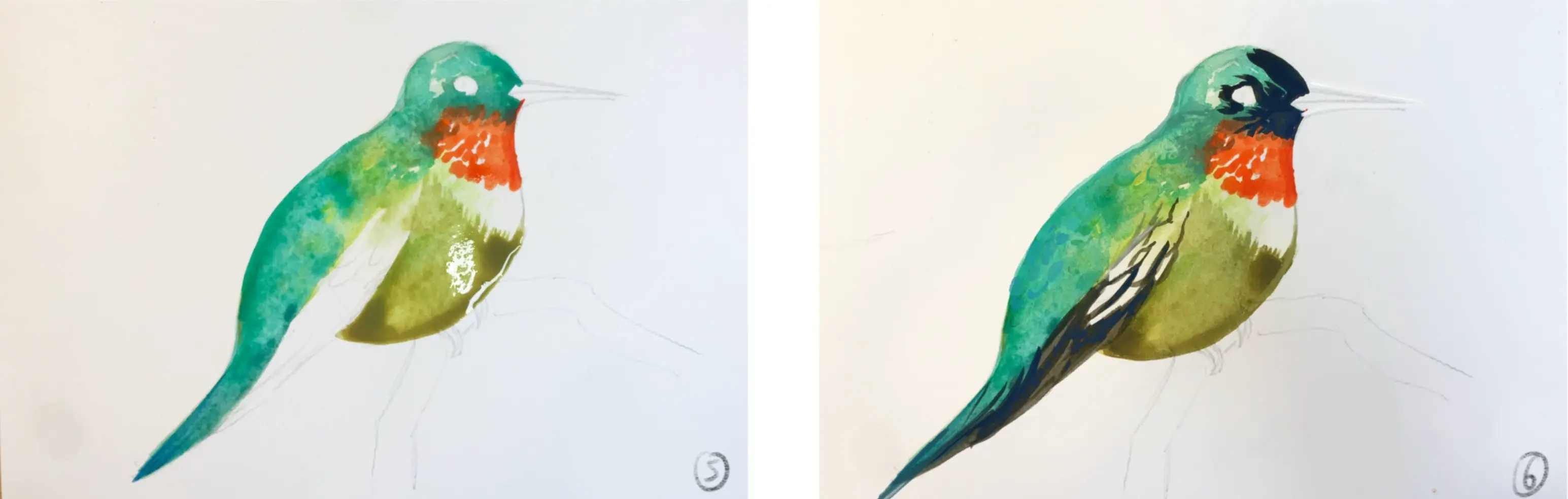 dessiner les détails d’un oiseau à l’aquarelle