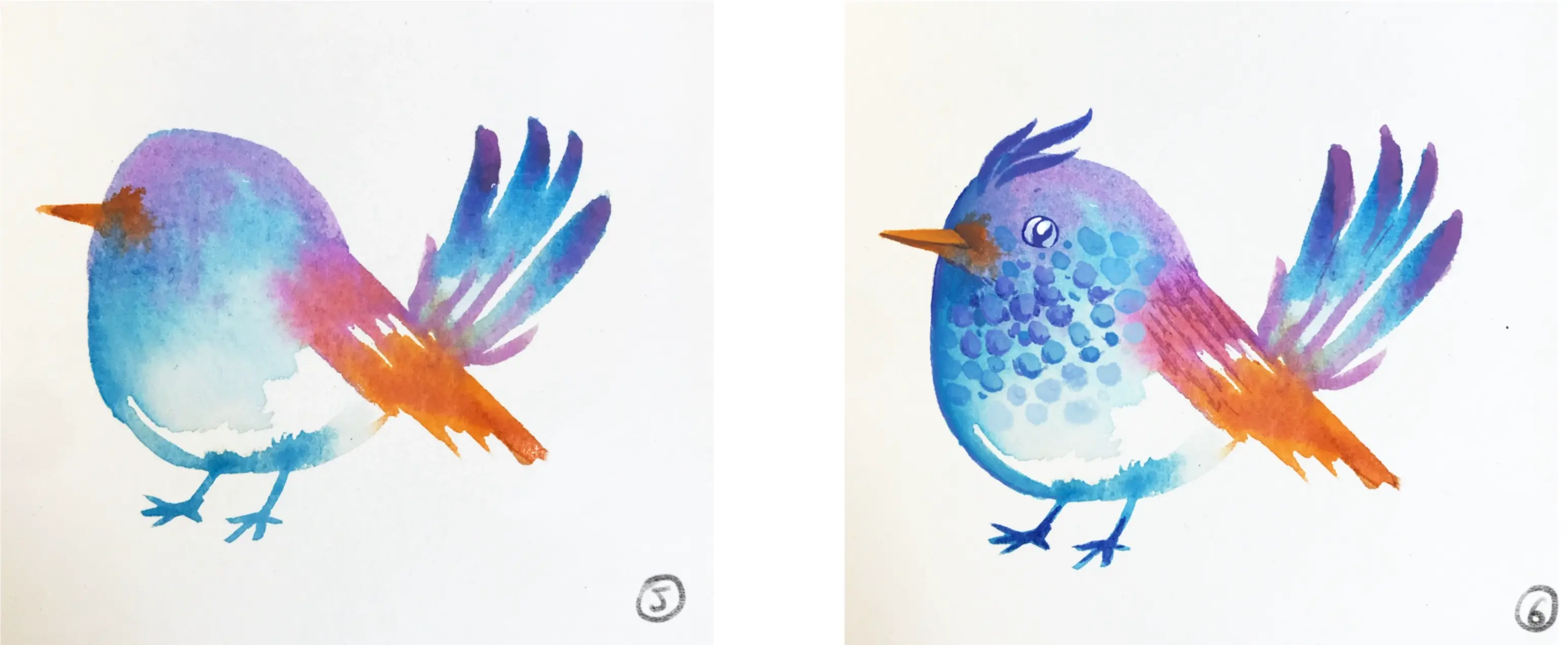 dessiner les détails d’un oiseau stylisé à l’aquarelle