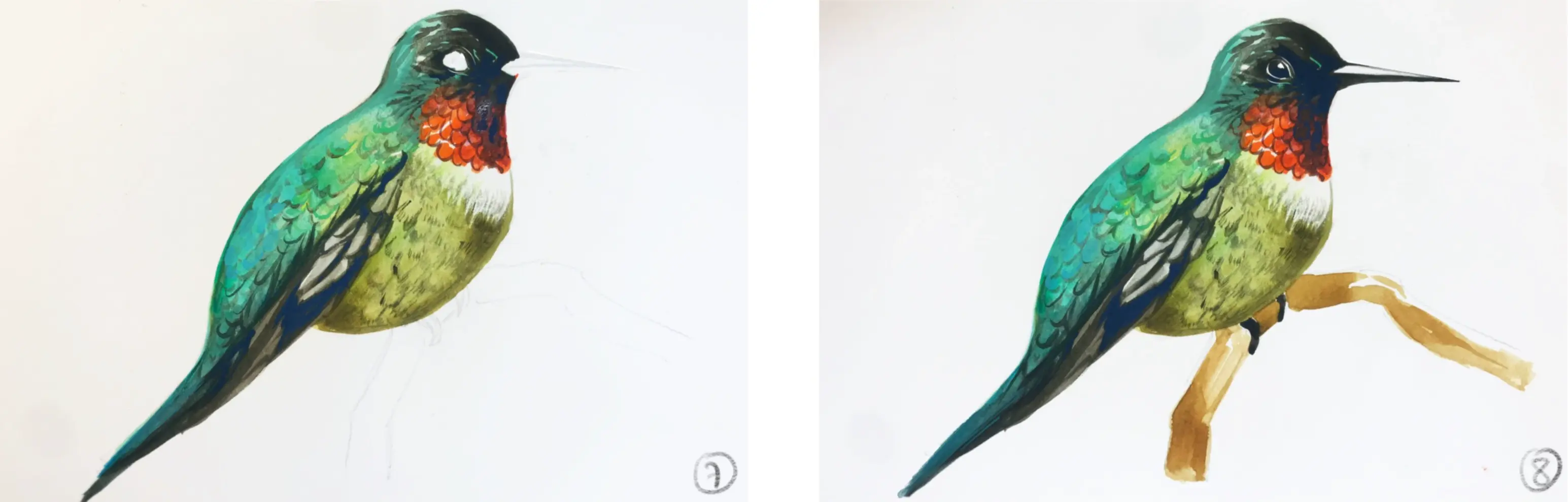 dessiner un oiseau à l’aquarelle