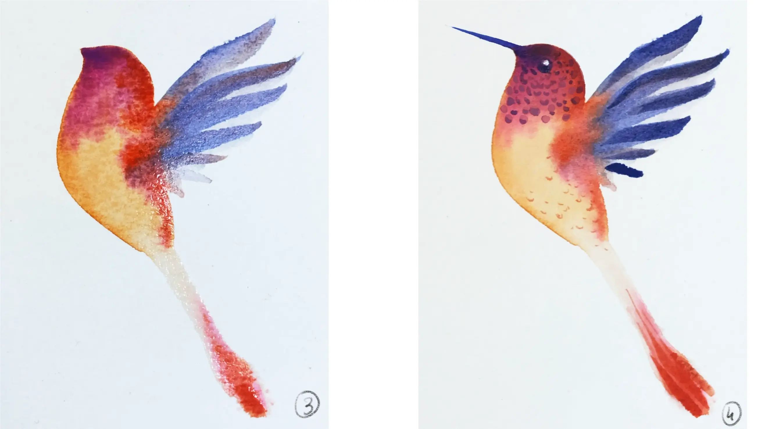 dessiner un oiseau stylisé à l’aquarelle