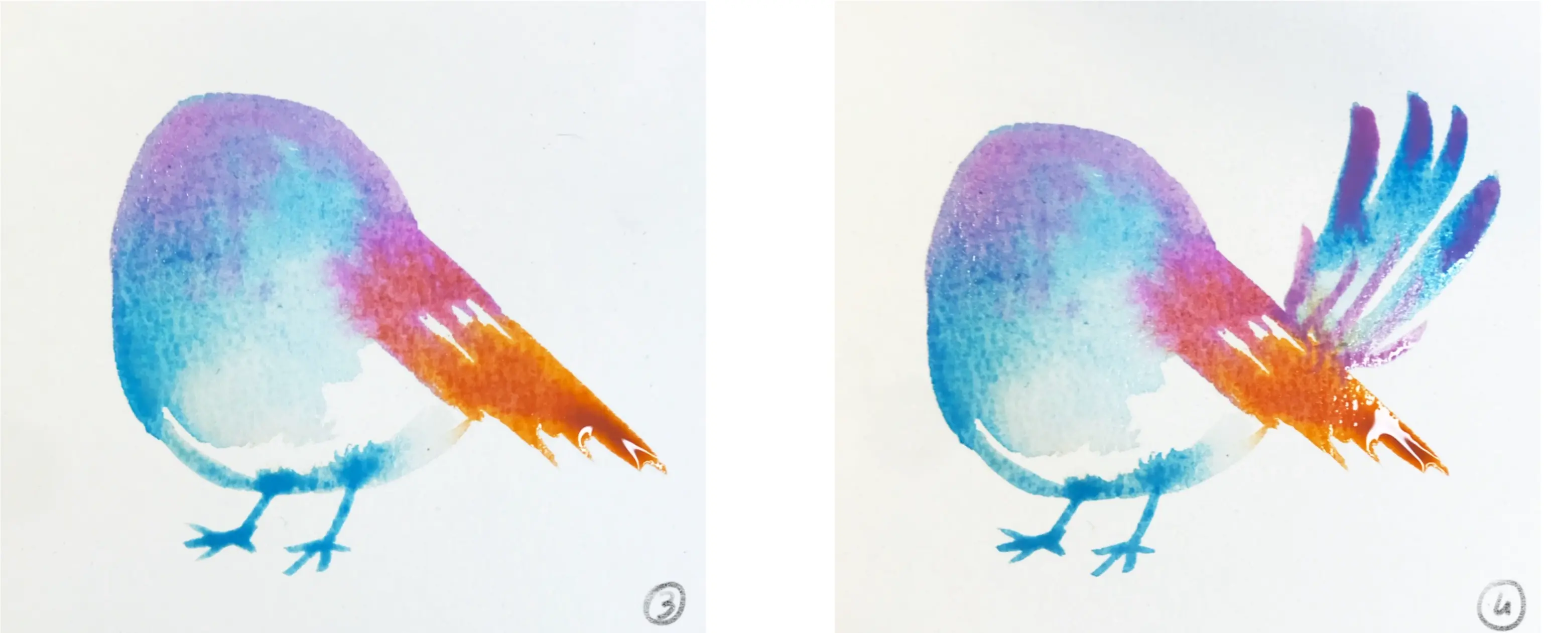 dessiner la queue d’un oiseau stylisé à l’aquarelle