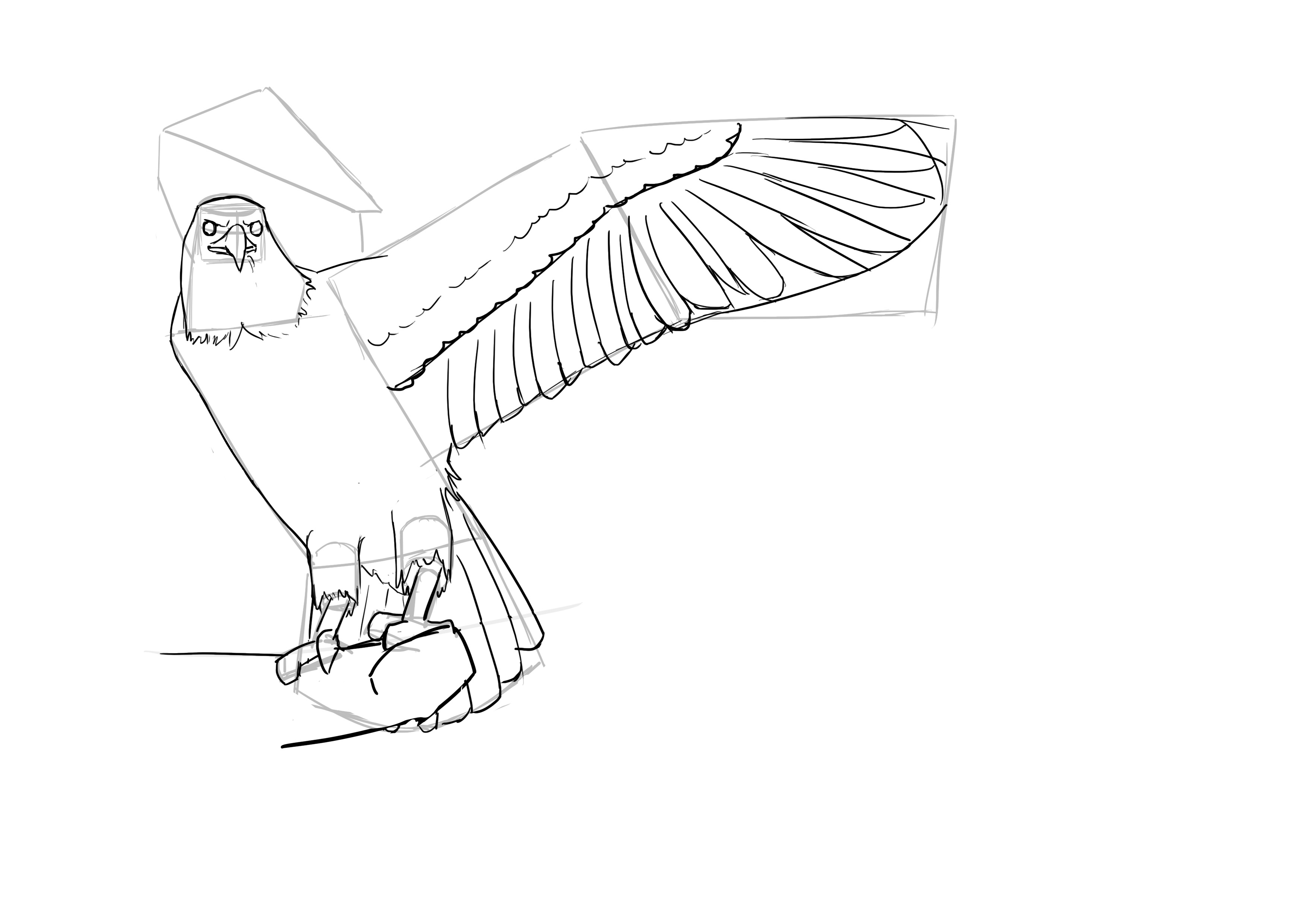 Dessin des ailes de l'oiseau 4