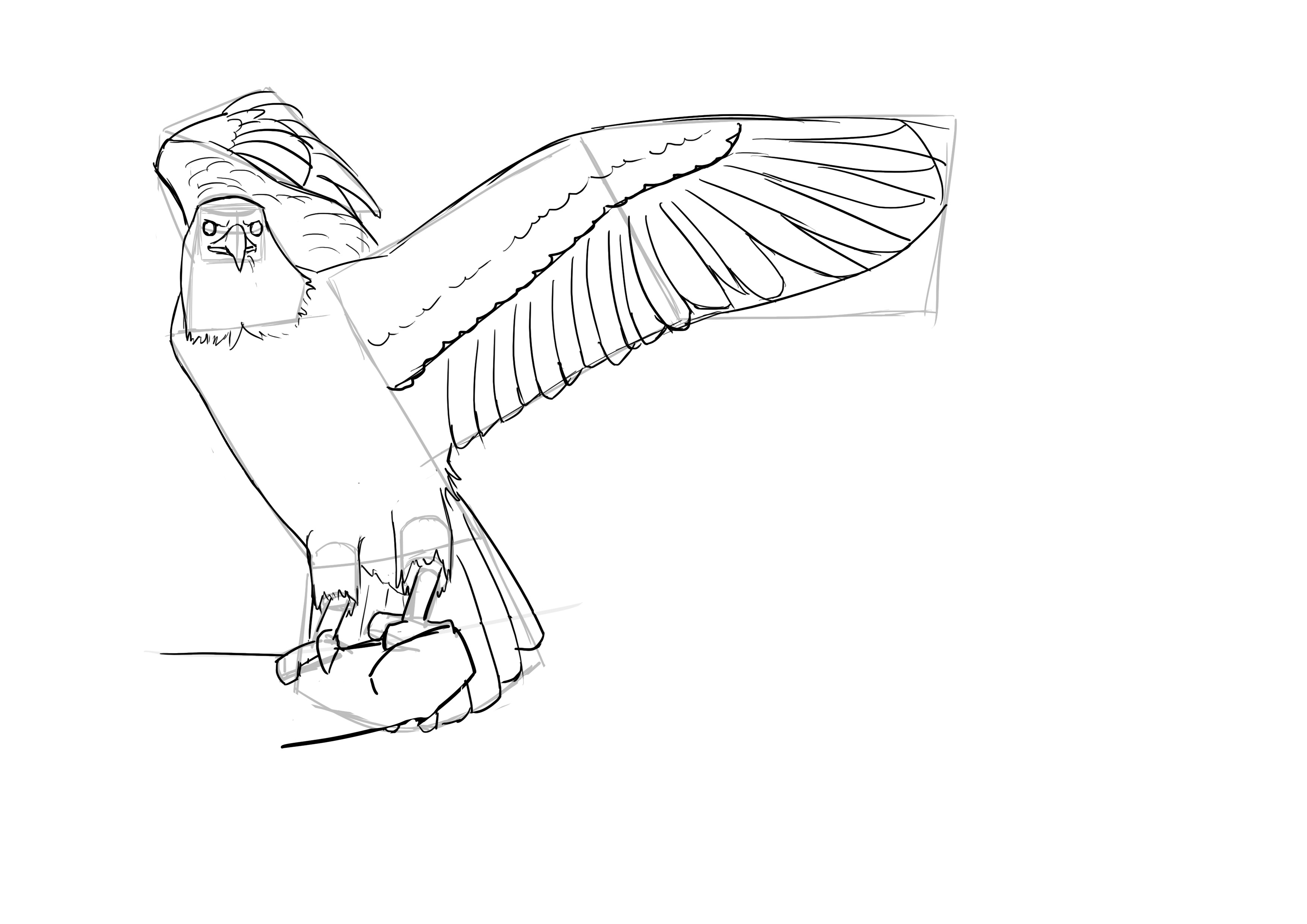 Dessin des ailes de l'oiseau 6