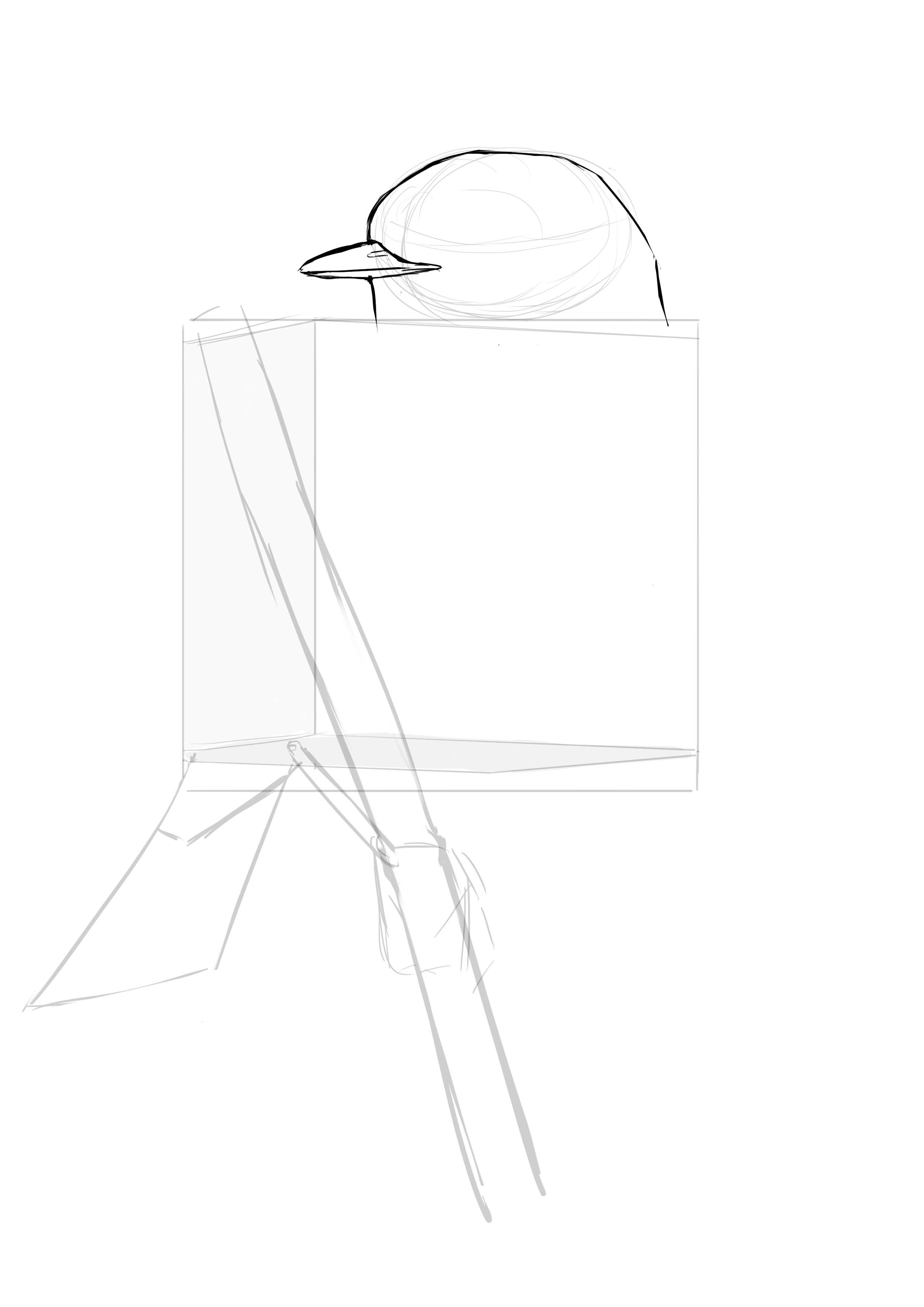 Dessin du bec du rouge gorge