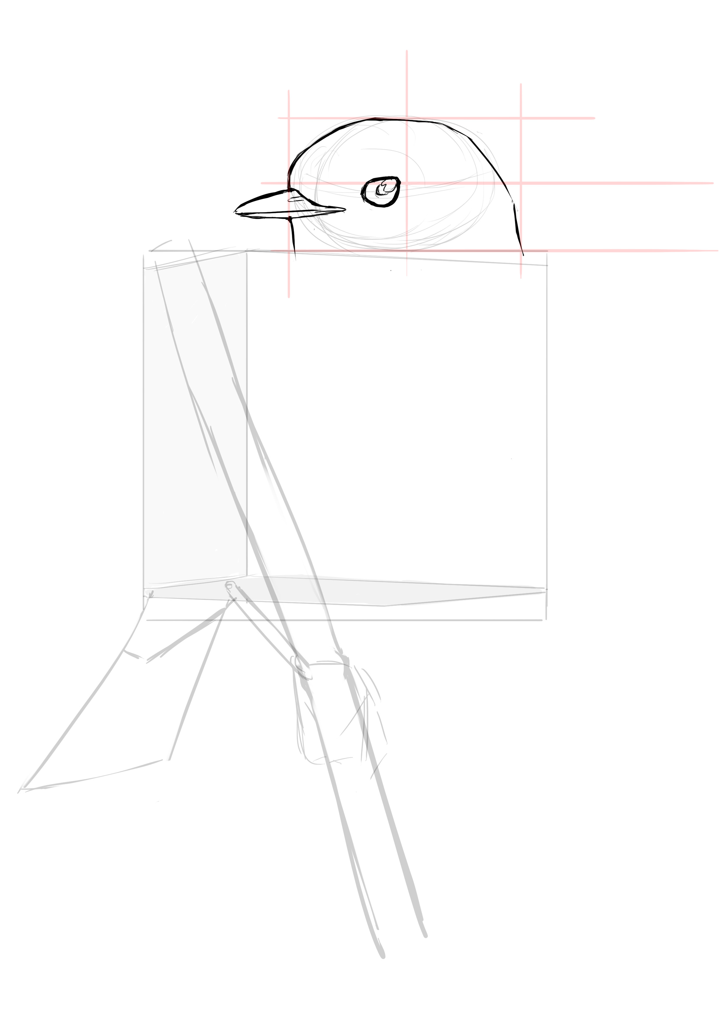 Dessin de l'oeil du rouge gorge