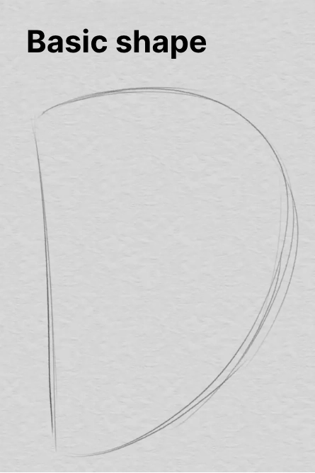 drawing of the basic shape of an ear