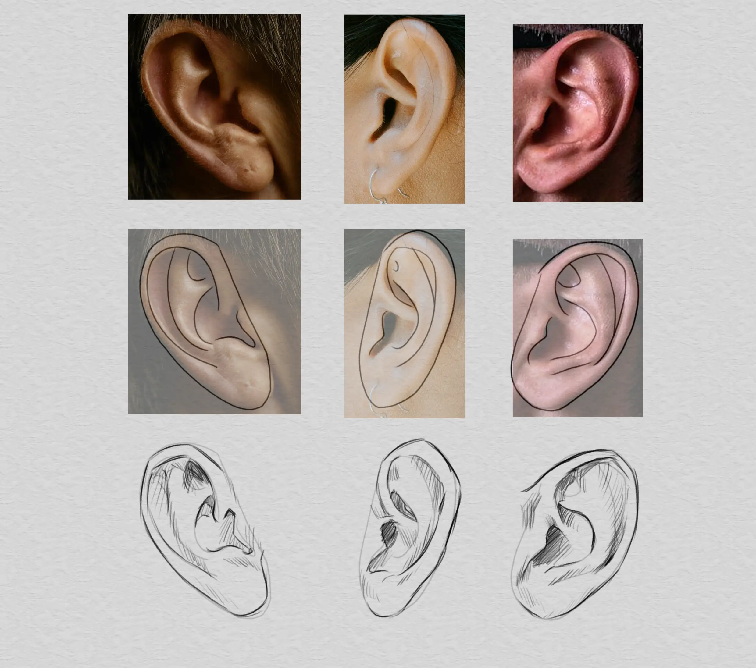 dessiner différentes formes d’oreilles