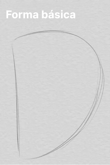 dibujar la forma básica de una oreja