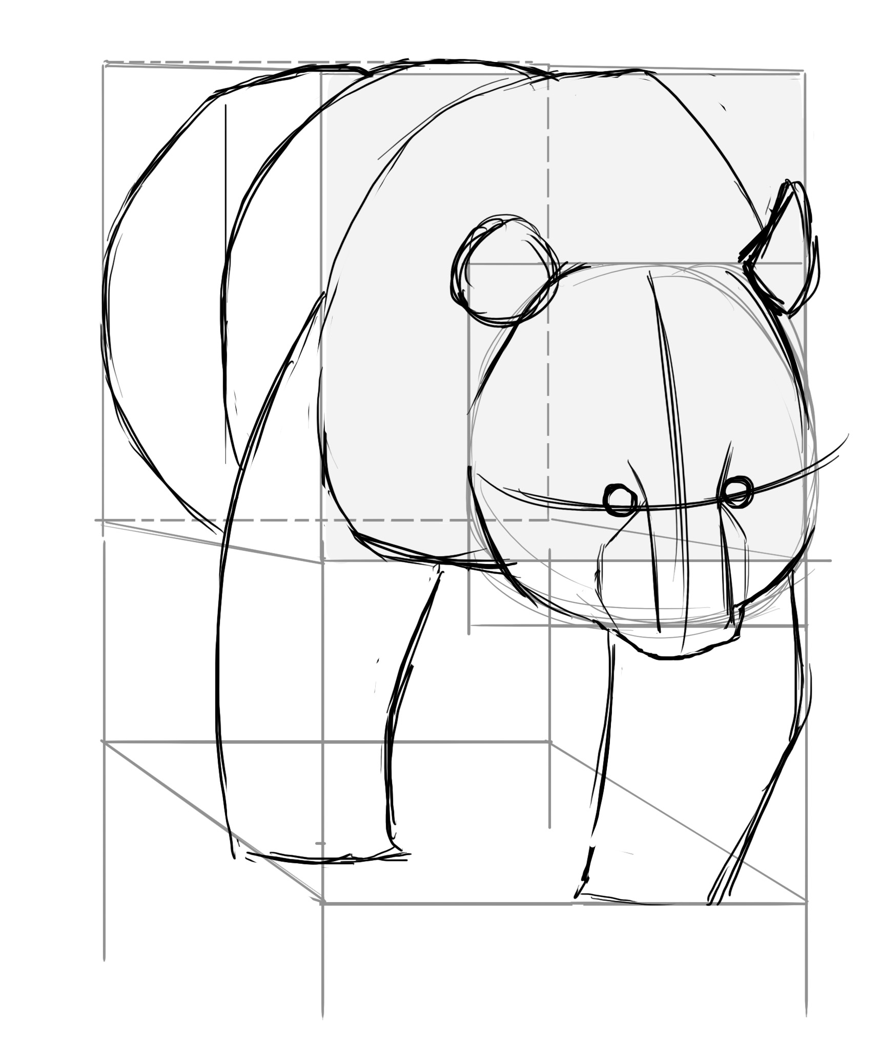 Dessiner l'arrière train du panda