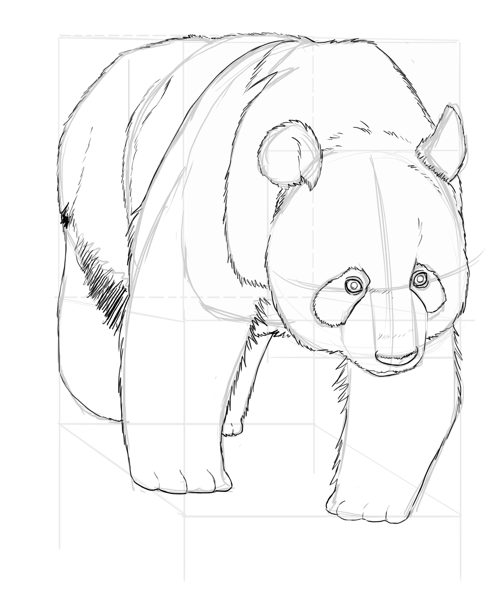 Dessiner la fourrure du panda