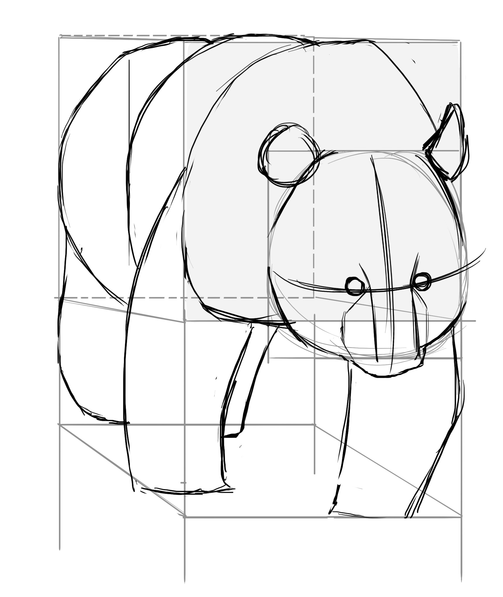 Dessiner les pattes arrière du panda