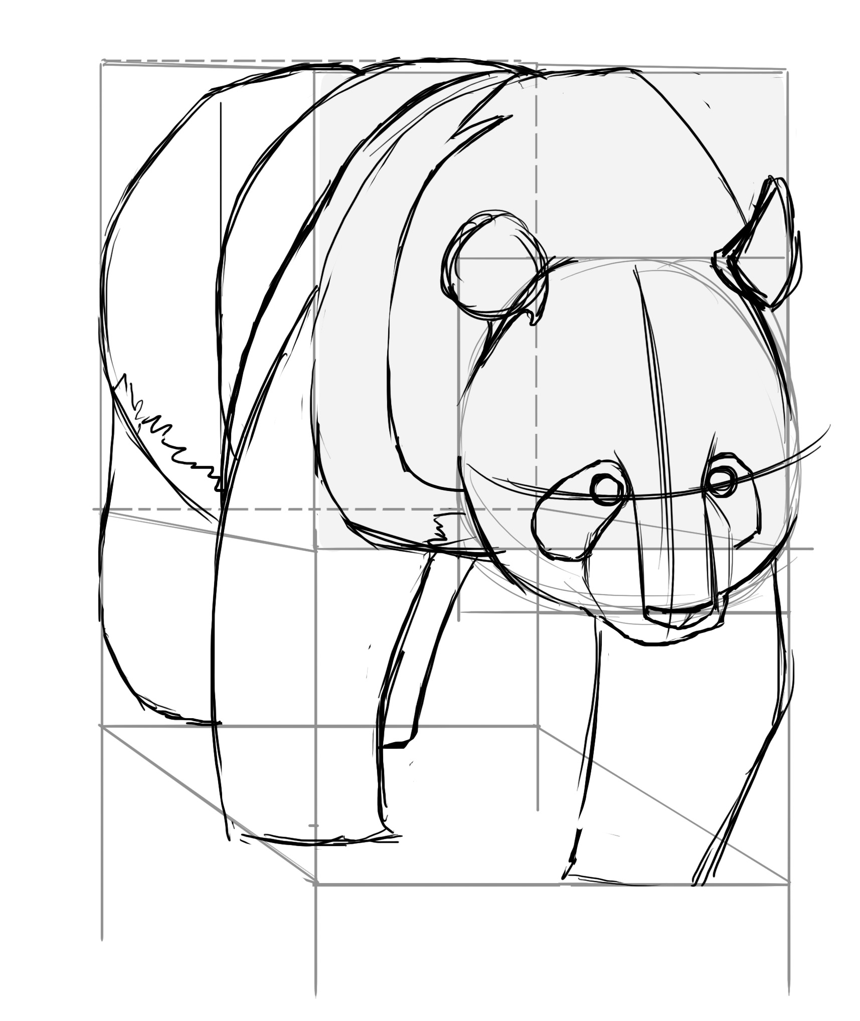 Dessiner les tâches sur le corps du panda