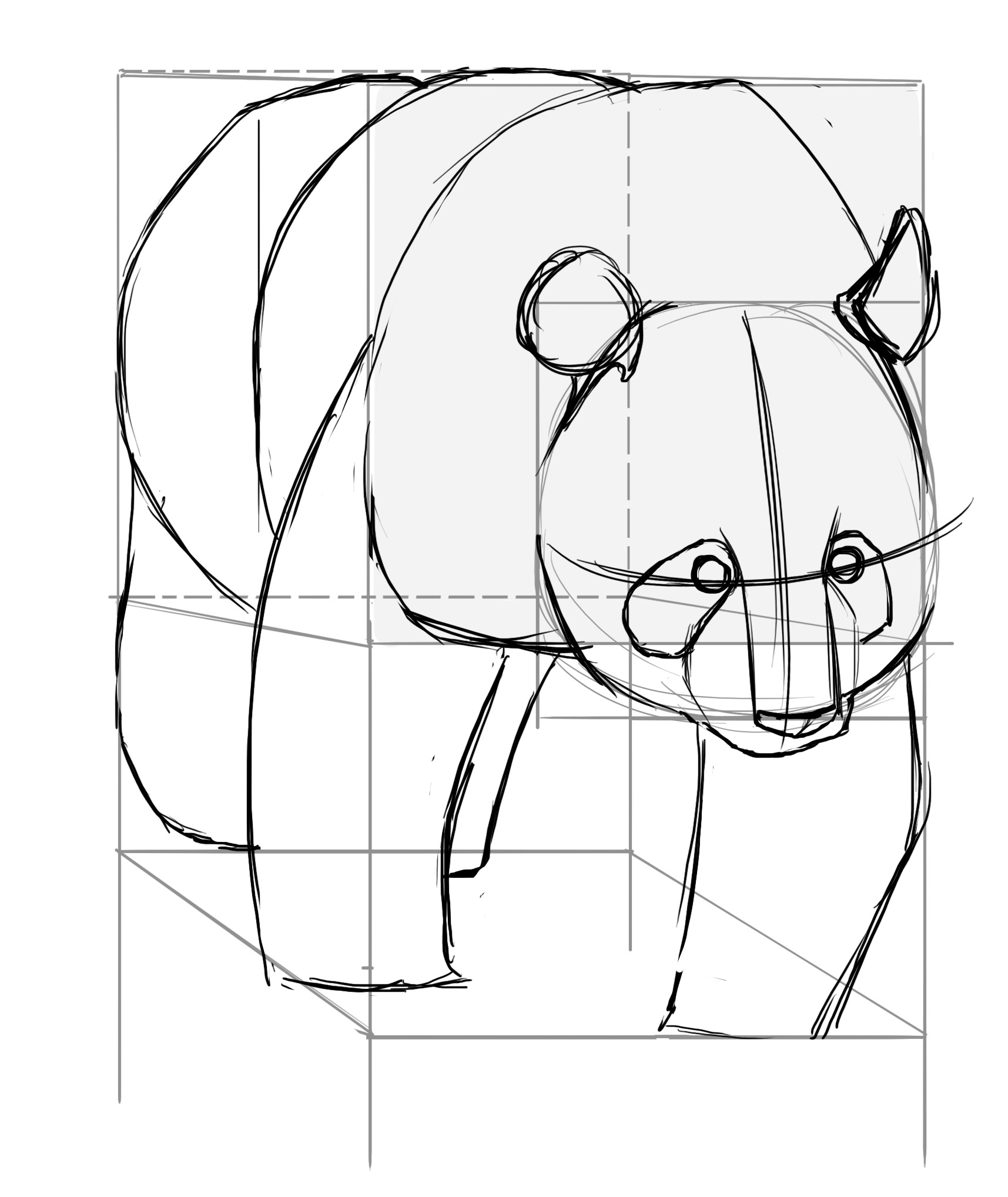 Dessiner les tâches sur la tête du panda