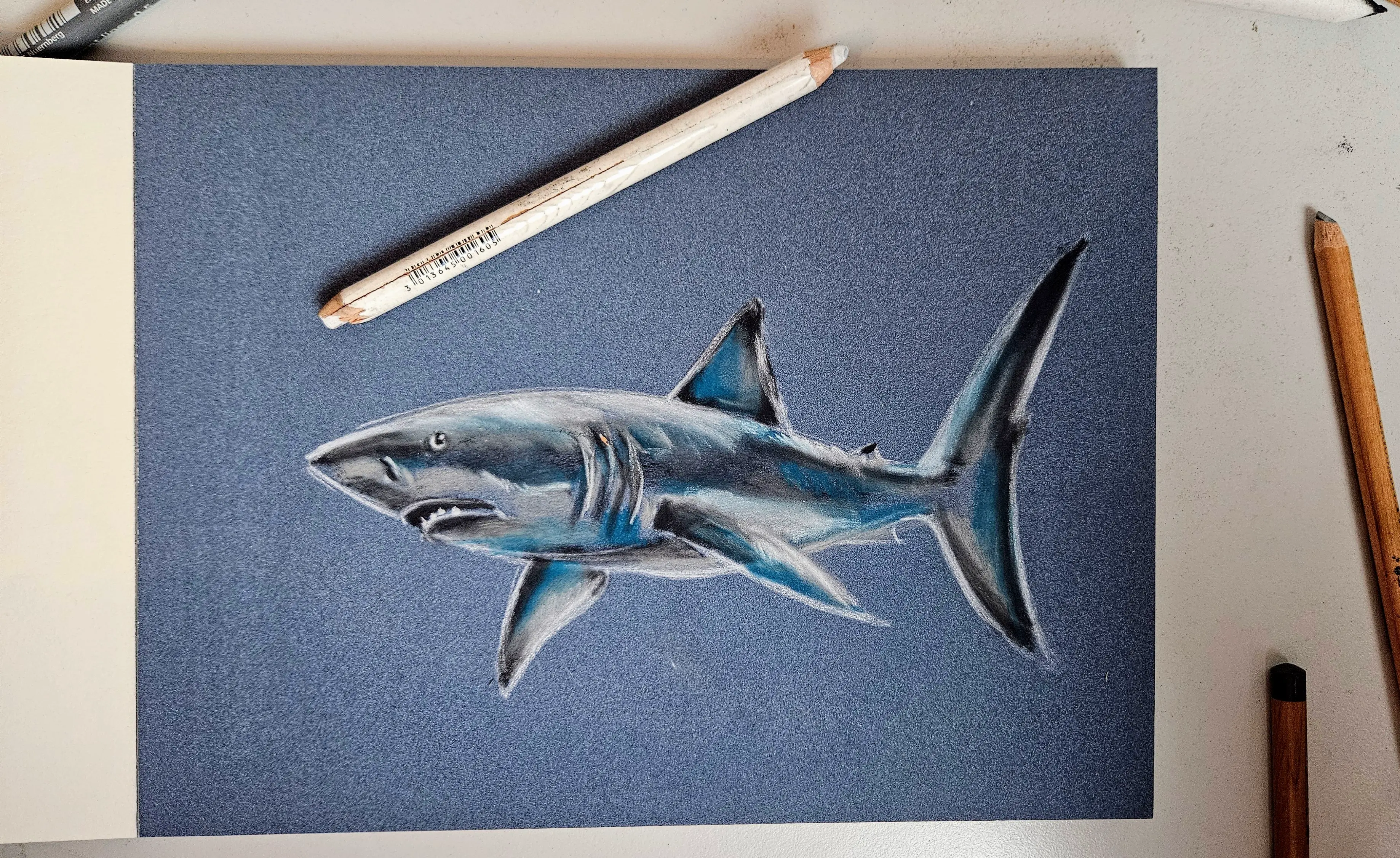 dessiner les détails d’un requin aux pastels