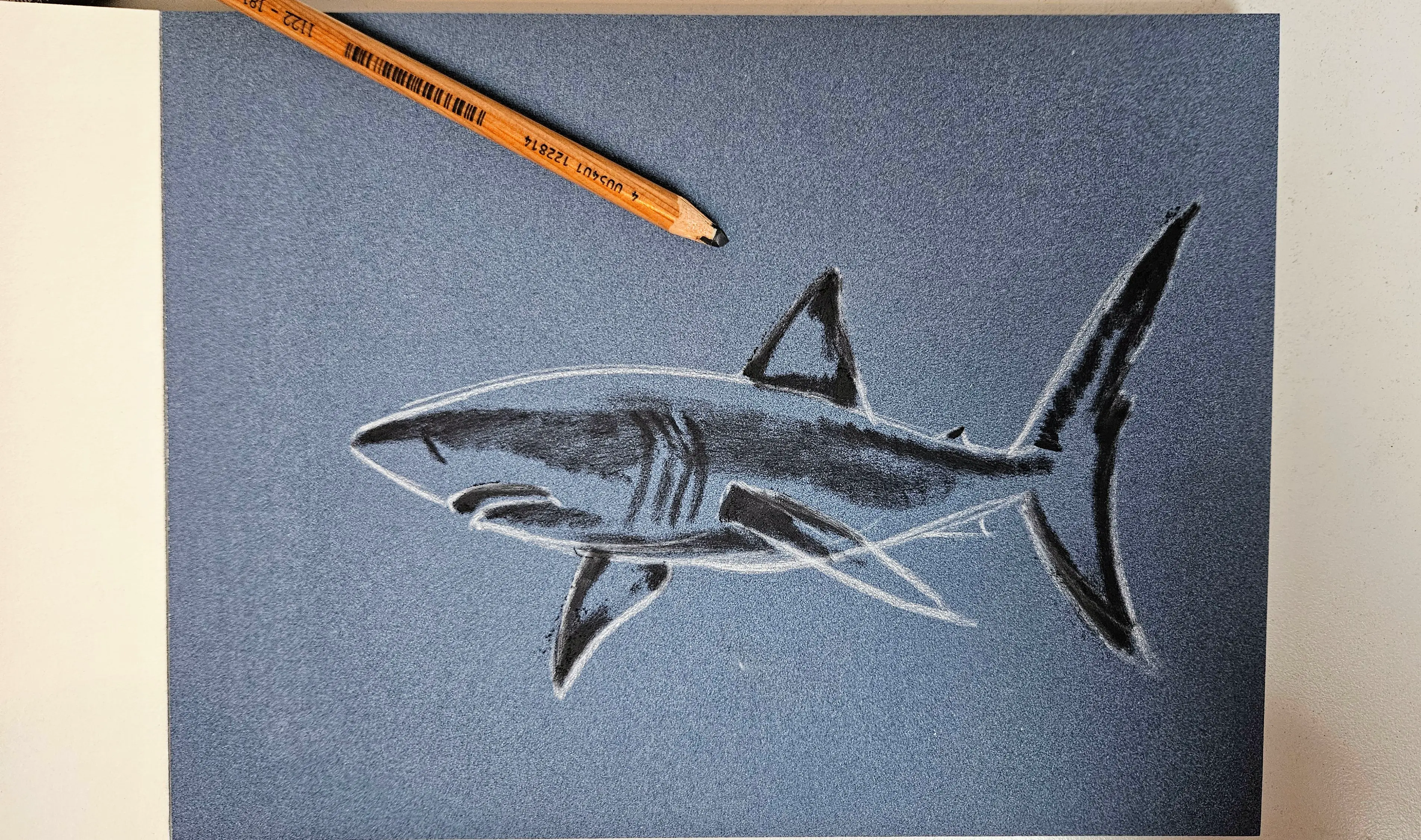 dessiner les ombres d’un requin aux pastels